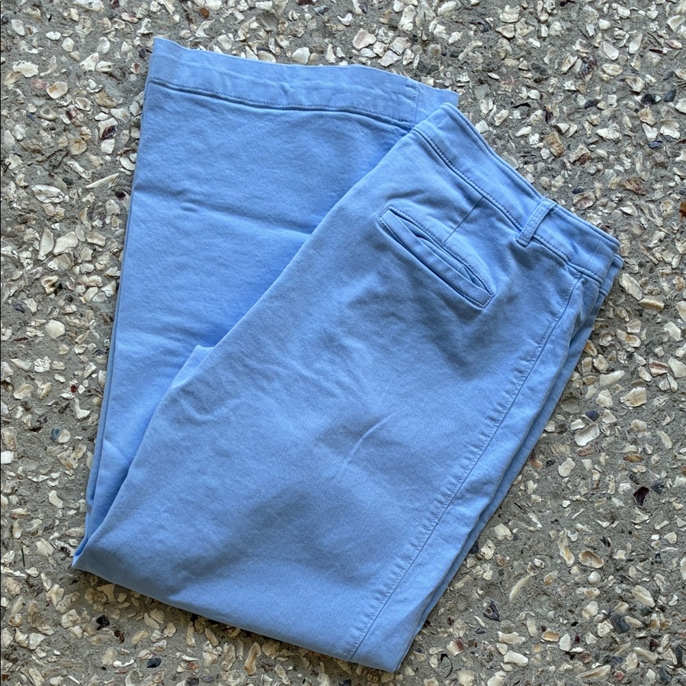 LOFT Palmer Wide-leg jeans in Periwinkle, size 10